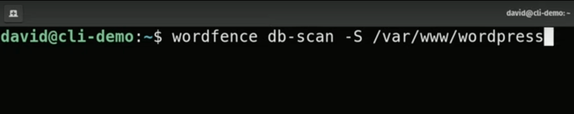 Wordfence CLI Database Scan Options